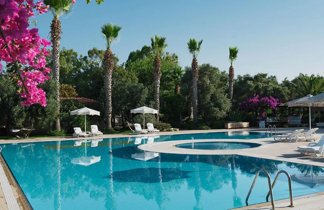 Flow Datca Surf & Beach Hotel-1